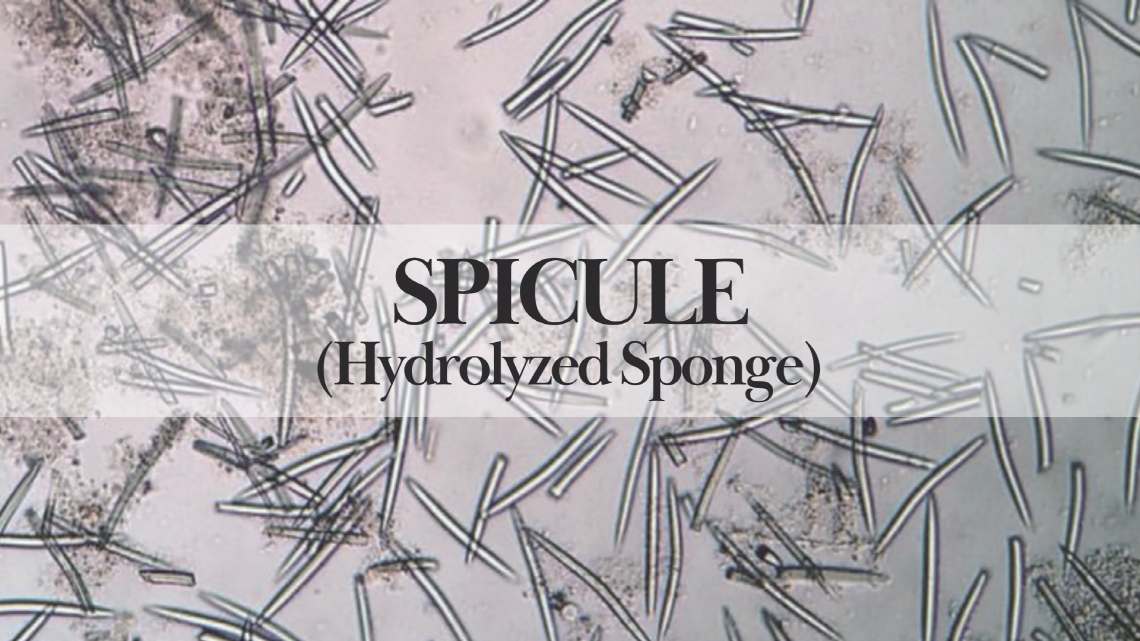 Main image for NEO MIRAE blog, showing a background that represents SPICULE (Hydrolyzed Sponge) and its skin rejuvenating properties.